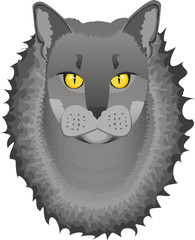 adorable, animal, art, beautiful, breed, british, british shorthair cat, card, cartoon, cat, colorful, comic, comic style, cute, domestic animals, drawing, drawn, elegance, face, feline, fluffy, fur, 