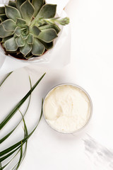 Cosmetic body or face cream container with care cruelty-free product. Succulent on white marble background, flat lay or top view