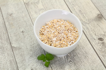 Raw oats in the bowl