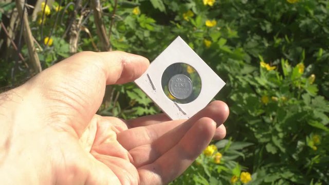 zinc penny in coin holder