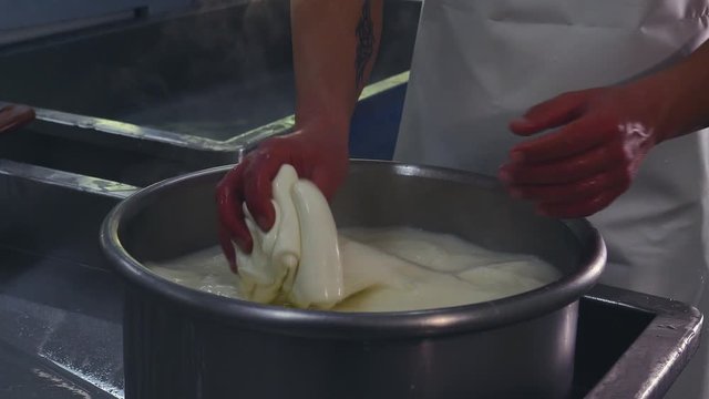preparation of mozzarella in a dairy. mozzarella production: italian cheese factory, mozzarella, fresh cheese