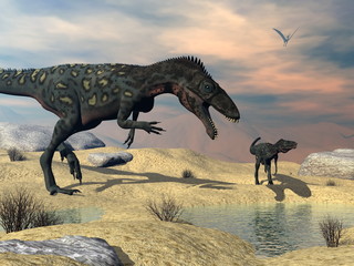 Two masiakasaurus knopfleri dinosaurs looking for water in the desert - 3D render