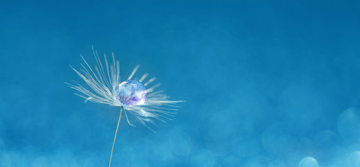 Naklejka premium dandelion at sunset . Freedom to Wish. Dandelion silhouette fluffy flower on sunset sky. Seed macro closeup. Soft focus. Goodbye Summer. Hope and dreaming concept. Fragility. Springtime