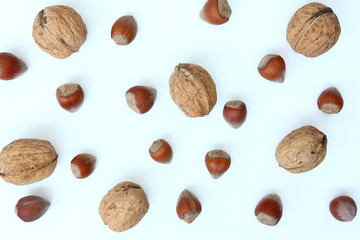 Superfoods - Nuts - Walnuts and hazelnuts on white background