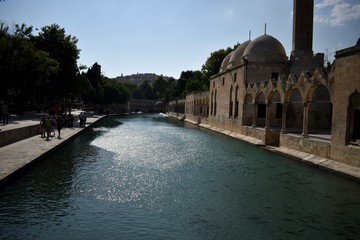 Fish lake in Sanliurfa Turkey is being visited by many people