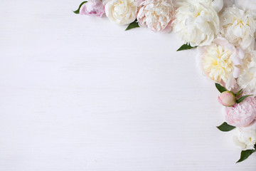 Light pink and white peonies on a white wooden background