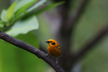 NATURALEZA, VIDA Y DETALLES EN UN RECINTO DE LOS SUEÑOS