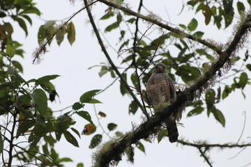 NATURALEZA, VIDA Y DETALLES EN UN RECINTO DE LOS SUE&Ntilde;OS