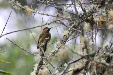 NATURALEZA, VIDA Y DETALLES