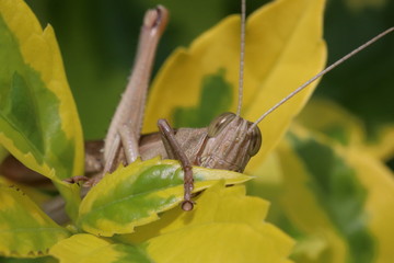 NATURALEZA, VIDA Y DETALLES