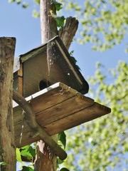 VOgelhäuschen aus Holz in der Natur