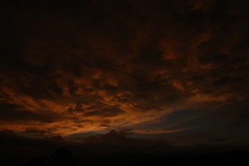 NATURALEZA, VIDA Y DETALLES