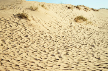 Oleshky Sands on a blue sky in the Kherson region in Ukraine, the largest desert in Europe