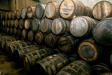 Wine barrels on old cellar