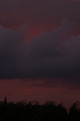 Naturaleza, vida y detalles