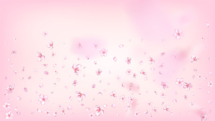 Nice Sakura Blossom Isolated Vector. Beautiful Flying 3d Petals Wedding Design. Japanese Bokeh Flowers Illustration. Valentine, Mother's Day Spring Nice Sakura Blossom Isolated on Rose