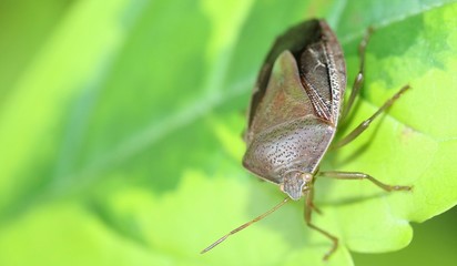Naturaleza, vida y detalles