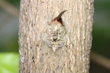 Naturaleza, vida y detalles