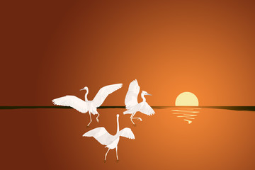 Three large white birds against the setting sun. Crane, stork, heron. Illustration.