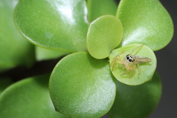 Naturaleza, vida y detalles