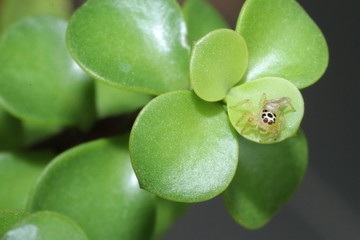 Naturaleza, vida y detalles