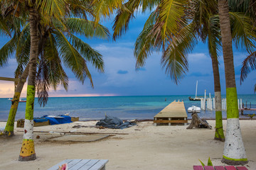 tropical beach with palm trees on the beach