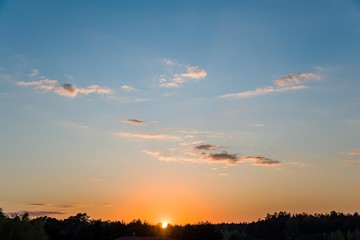 Sunset above the forest, the death of nature