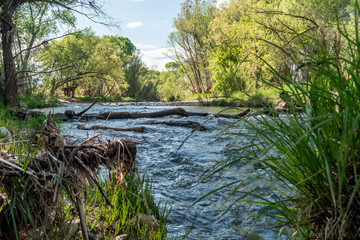 Verde River on a beautiful spring day. 