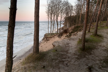 North Sea cliff in winter