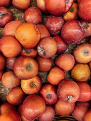 lots of ripe fruit red apples for eating a background