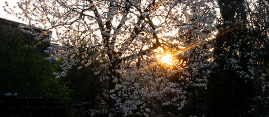 Zachód słońca. © Bernadeta