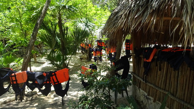 Senote is a cave where you can swim. It's a cenote Cristallino in Mexico.