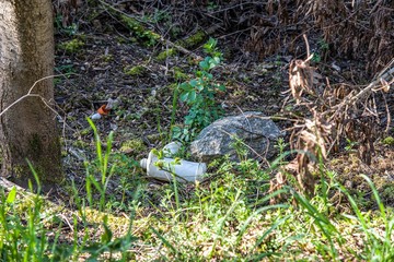 Garbage in the Park or forest, an empty bottle lying on the ground. The concept of environmental...
