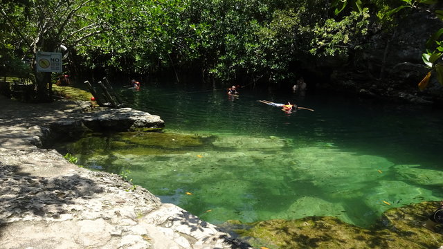 Senote is a cave where you can swim. It's a cenote Cristallino in Mexico.