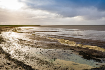 Obraz premium Coast of Wadden Sea by Harlingen, Netherlands in winter