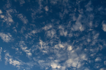 Beautiful clouds scattered across the blue sky. Small, cottony white clouds.
