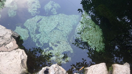 Senote is a cave where you can swim. It's a cenote Cristallino in Mexico.