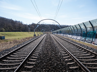 railroad tracks in the forest