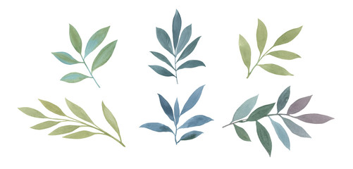 Naklejka na ściany i meble Set of painted watercolor leaves. isolated leaves on a white background. Watercolor leaves for printing, packaging, cards. Botanical elements for invitation cards.