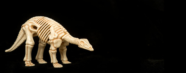 dinosaur skeleton on a black background, site format, paleontology