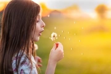 Girl blows off a dandelion. The lights of a sun. Childhood, happiness, freedom, beauty