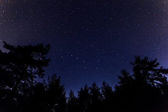 starry night sky