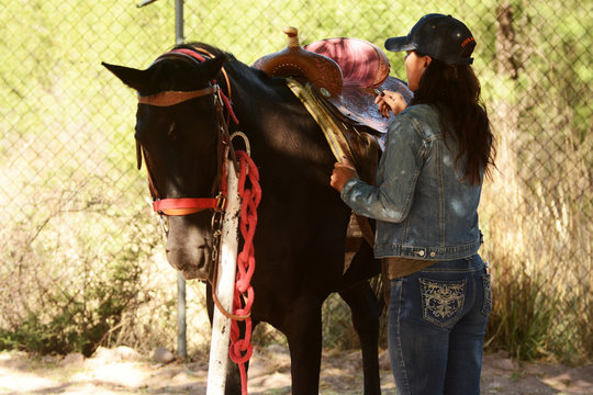 Carrera de barriles, barrileras, rodeo, barrel racing, caballos