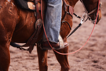 vaquero, caballo, estribo, espuela, lazo, lazo por parejas, rodeo, caballos, montura, equipo para...