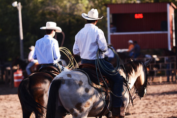 Vaquero, cowboy, lazador, rodeo