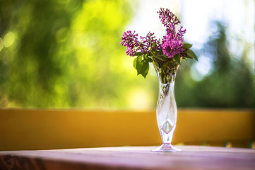 flowers in a glass