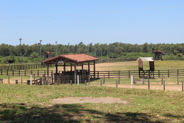 rural landscape with a house