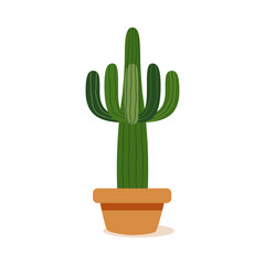 Isolated cactus icon