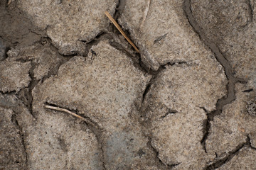 Cracked dried soil. The effects of global warming.