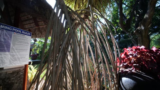 beautiful holiday resort pool, swimming pool rules